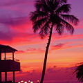 Pink Sunset